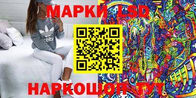 шишки Аргун