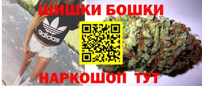 шишки Аргун